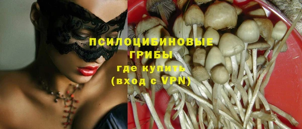 не бодяженный Арсеньев