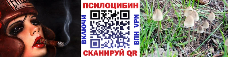 Псилоцибиновые грибы Psilocybe  Купить где  Куса 