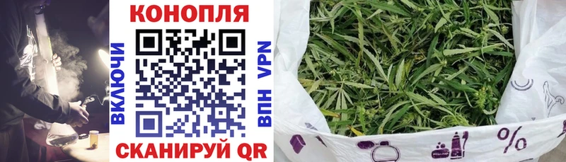 Бошки Шишки White Widow  Купить закладки  Куса 